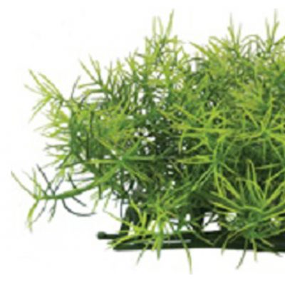 Aquatic Springiri Plant Mat Lbs